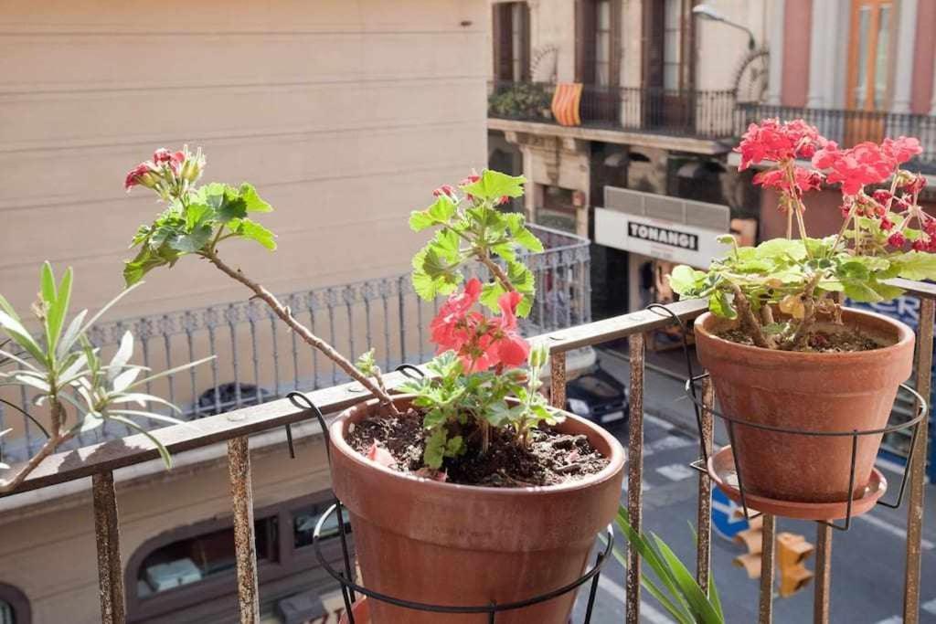 Apart Centrico Con Terraza En Gracia 巴塞罗那 外观 照片